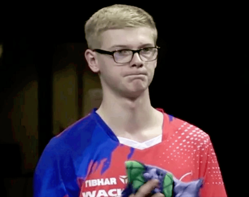 力尚不足以 力尚不足以